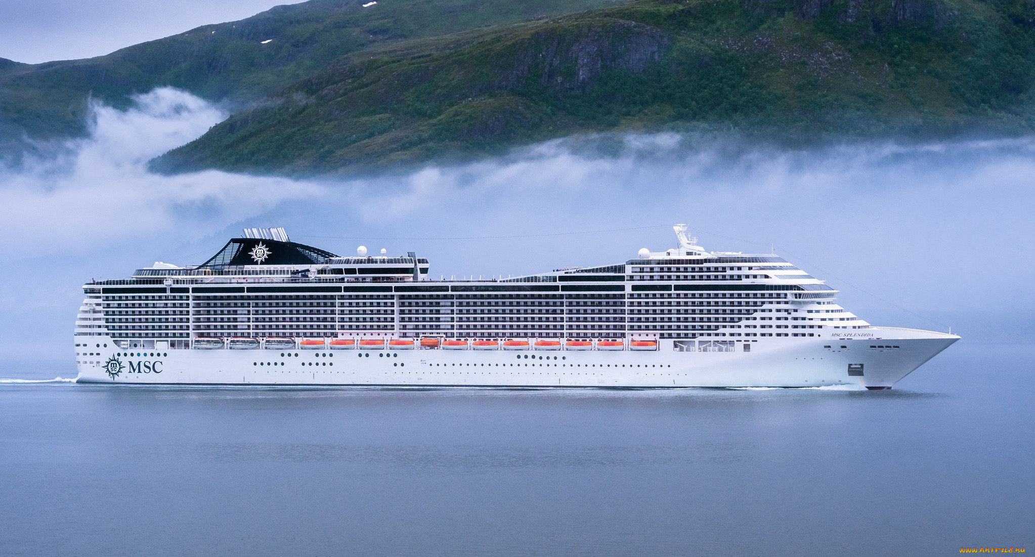 msc splendida, , , , 